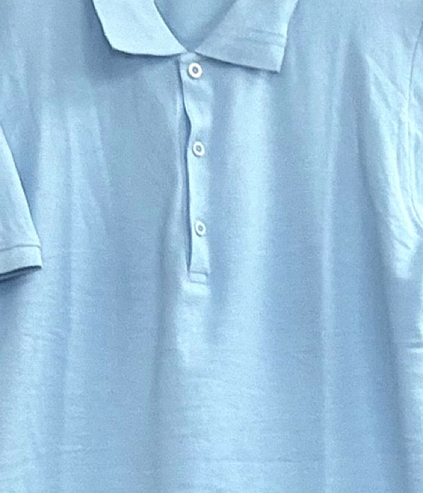 Helen 199 polo blouse ss, light blue
