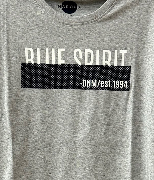 Cayle t-shirt, grey mix